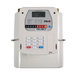 Lora Anzahlung Gas Meter STS Stahl Material Hybrid Smart Wireless Token Prepaid Gas Meter