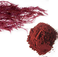 Extracto de Dulse Seco Natural, Polvo de Palmaria Palmata, Polvo de Algas Rojas