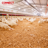 Ligne d'alimentation et d'abreuvement automatique intelligente pour l'élevage de poulets de chair, équipement pour la construction d'élevages avicoles à grande échelle