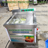 SAIDASHI RVS Fruit- en Groentewasmachine met Ozonverwarming voor Appel, Druif, Aardbei en Tomaat