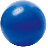 Ballon de yoga antidéflagrant MJD-WG147-65 de haute qualité en PVC épais, équipement d'exercice anti-pression pour studio de Pilates