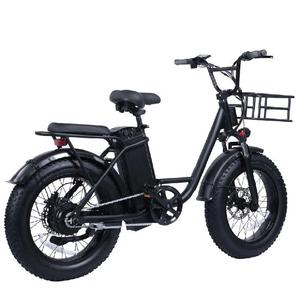 Pneu électrique Carge E Bike 500w moteur 20x4 pouces gros pneu électrique adulte Cargo vélo électrique - Product Image 3