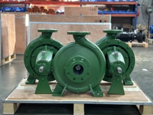 Bombas Centrífugas de Succión Axial de Fábrica, Bombas Horizontales de Hierro/Acero al Carbono/Hierro Dúctil/Acero Inoxidable, 60Hz 50Hz - Product Image 3