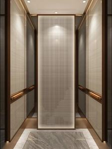 Elevador personalizado para el hogar con espejo negro, línea de cabello de titanio, acero inoxidable, 304, elevador de pasajeros para 6 personas - Product Image 6