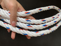 Corde torsadée en PP la moins chère de Chine, corde en PP de 10 mm, corde noire de 4 mm, 6 mm, 8 mm, 12 mm, 16 mm, 18 mm, 20 mm, 24 mm, 30 mm, norme nationale chinoise
