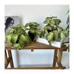 QYY, nuevo producto, planta Artificial de rábano verde con maceta de plástico, decoraciones de escritorio para el hogar para Navidad, graduación, adornos de Año Nuevo - Product Image 4