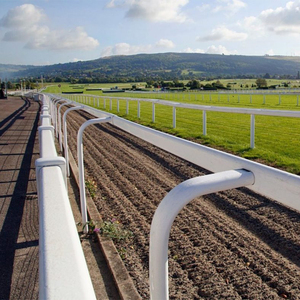 منافسة الفروسية ألواح السكك الحديدية البلاستيكية عالية القوة مانعة لتسرب الماء مقاومة للتآكل سياج أمان لمكان سباق الخيل - Product Image 2