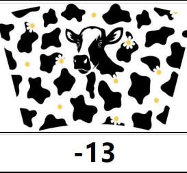 13