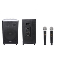 PL-4415B Enceinte portable 15 pouces 250W avec subwoofer Bluetooth, rechargeable, pour karaoké, sur chariot, pour usage domestique, système audio extérieur avec ports USB et carte