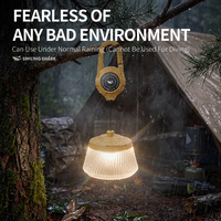 Lanterne de camping LED rechargeable, lumière extérieure portable, lampe d'urgence haute luminosité pour le camping, la randonnée, la pêche, les voyages, la tente