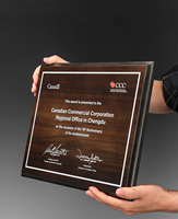 Houten awardtrofee, houten plaquette, schild, op maat gemaakte houten gouden gepersonaliseerde logo gala souvenirs prijs, heldere folk art dieren, mooie geschenkdoos