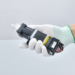 Runze مضخة مكبس مضخة صناعية صغيرة مع صمام الملف اللولبي - Product Image 1