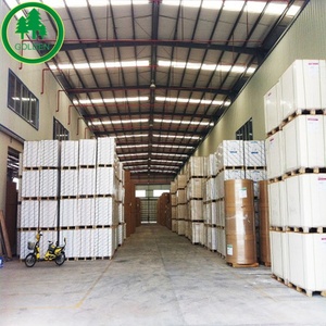 Cartulina Artística C2S 100% Pulpa de Madera - Product Image 2