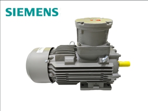 มอเตอร์อะซิงโครนัสสามเฟสประสิทธิภาพสูง 11KW รุ่น 1LG/1LE1/1LE0 11KW/15KW - Product Image 5