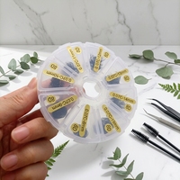 Extensions de cils pré-faits en vrac 3D 4D 5D 6D 7D 8D 9D 10D 12D 14D 20D Volume Russe 0.05 0.07 0.10 Fans en vrac 1000