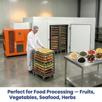 Voedseldroger met grote capaciteit, geschikt voor het drogen van bananen, avocado's, mango's en ananaschips.