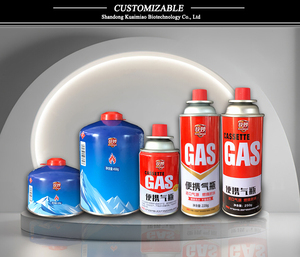 Lata de Gas Butano de 220g 250g 450g en Oferta, Lata de Aerosol Metálica con Logotipo Personalizado, Cartucho de Gas Butano para Camping - Product Image 4