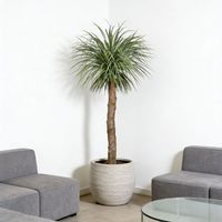 Plantes artificielles en pot de dracaena très réalistes de 230 cm, décoration intérieure, arbre d'agave artificiel pour hôtel, restaurant