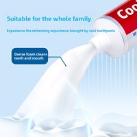 Dentifrice Menthe Fraîche Blanchissant Anti-Caries pour Dents Sensibles Usage Domestique OEM Personnalisé Vente en Gros Fabricants Rafraîchissant Chimique pour l'Hygiène Buccale