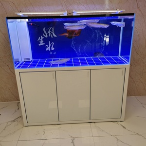 Groothandel Nieuwe Stijl Grote <span class=keywords><strong>Panorama</strong></span> Verticale Randloze Ecologische Visbak <span class=keywords><strong>Aquarium</strong></span> Ultra Helder Glas 300L met Kast - Product Image 6