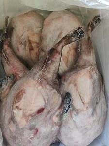 Monkfish WR de alta calidad a buen <span class=keywords><strong>precio</strong></span> - Product Image 2