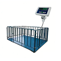 Báscula para Animales de 500kg-3000kg con Indicador B19 RS232 para Uso Agrícola OEM/ODM, Acero Resistente, Precisión de 100g