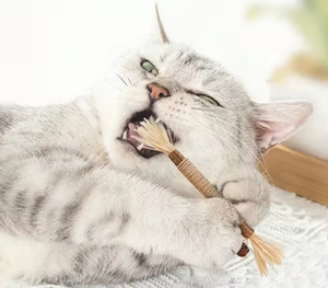 Set de Palitos Masticables Ecológicos para Gatos de 1.5CM de Diámetro, Duraderos, para Limpieza Dental, de SilverVine y Sisal, para el Cuidado Dental - Product Image 5