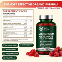 Suplemen Permen Kunyah SYC BIO Magnesium Glycinate untuk Kesehatan & Vitalitas Sehari-hari, 60 Permen Kunyah Bebas Gula, OEM Label Pribadi