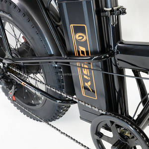 DISIYUAN <span class=keywords><strong>F1</strong></span> 1000W 48V Velocidad rápida 50 KM/H Ciudad eléctrica Neumático gordo Bicicleta híbrida Ebike Eléctrica Montaña Dirt E Bike para adultos - Product Image 3