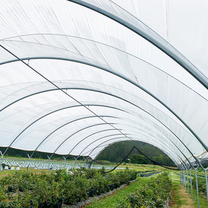 Serre toutes saisons Caterpillar pour la protection des myrtilles, des courgettes, des citrouilles et des fruits de <span class=keywords><strong>verger</strong></span> en Australie - Product Image 1
