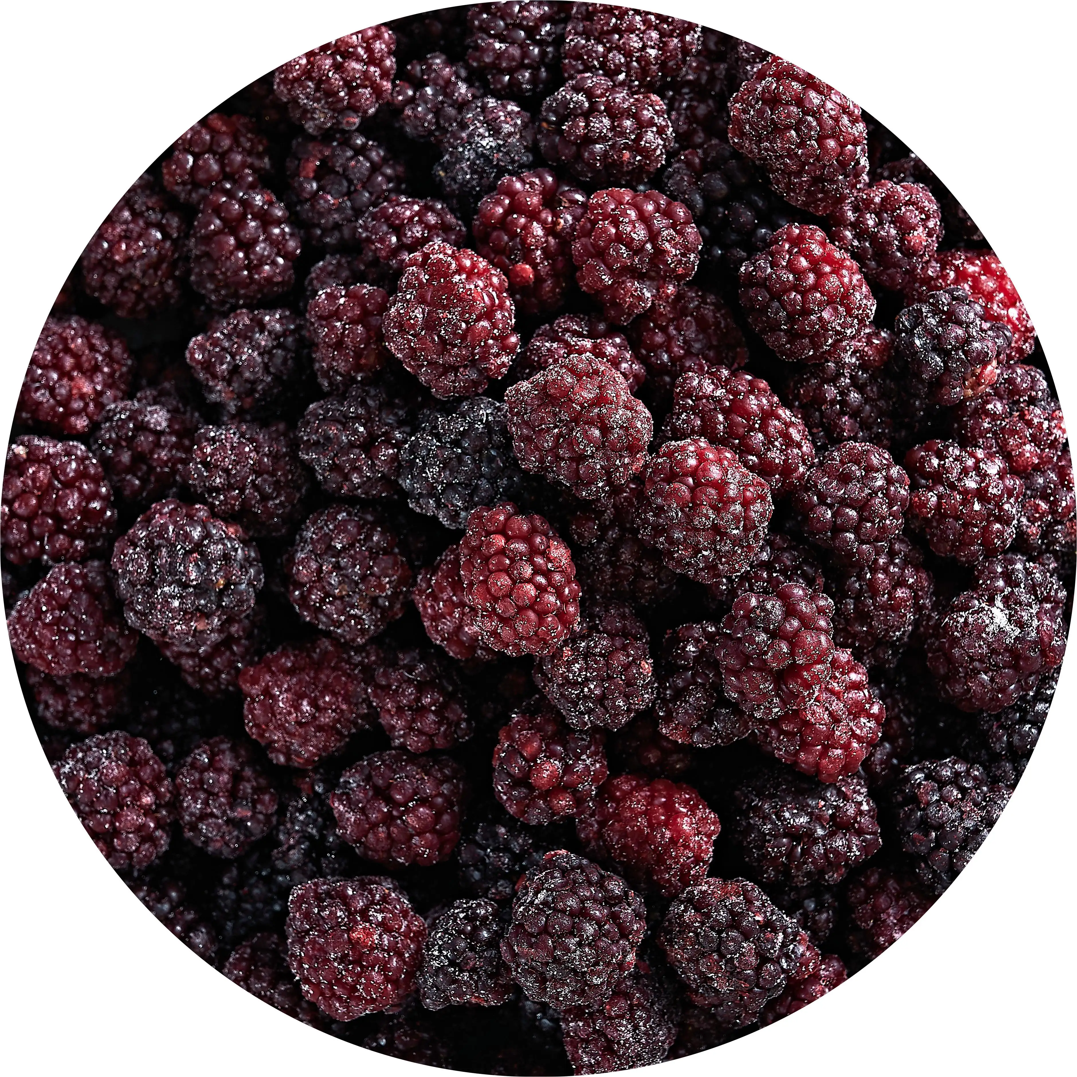 Bán buôn và xuất khẩu của mùa giải mới đông lạnh Blackberry wanda thực phẩm nhà máy bán hàng trực tiếp đông lạnh Blackberry