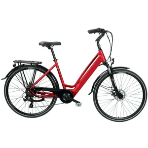 2021 Hot Koop Elektrische Mountainbike Van Factory Outlet