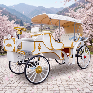 Carroza Eléctrica Blanca de Lujo Personalizable de Alta Calidad para Bodas y Turismo, Vagoneta Eléctrica para Paseos al Aire Libre, Venta Caliente - Product Image 1