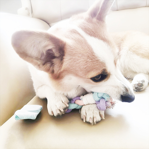 Jouets à mâcher pour chiens écologiques de couleur aléatoire, ensemble interactif en corde de coton, pour le nettoyage des dents molaires, fournitures pour petits chiens, en forme de cœur - Product Image 1