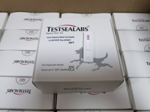 Kaset kehamilan dokter hewan satu langkah, Kit uji cepat - Product Image 6