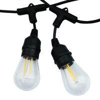 Tira de luces led con Wifi para decoración navideña, tira de luces LED con filamento, a prueba de agua IP65