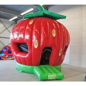 Château gonflable à thème de fruits pour enfants, maison à rebond gonflable, personnalisé - Product Image 2