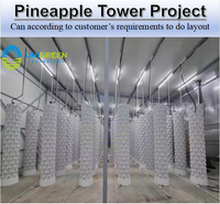 Nouvelle conception de tour hydroponique à 64 trous de plantation, culture sans terre, tour verticale pour la culture de l'ananas, système de jardinage