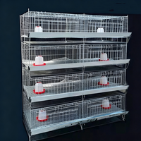 Prix d'usine, expédition rapide : Grand poulailler pour poules pondeuses, cage pour poulets pour la Malaisie