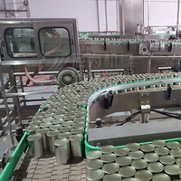 Système en plastique plat en acier de convoyeurs de lamelle de chaîne de convoyeur de dessus de Tableau pour la ligne d'emballage alimentaire