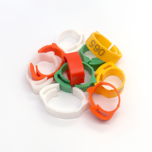 100 PCS Plastic Chicken <strong>Foot</strong> <strong>Rings</strong> for <strong>Pigeon</strong> Leg <strong>Foot</strong> Adjustable Chicken <strong>Foot</strong> <strong>Rings</strong> Poultry <strong>Ring</strong> - Product Image 5