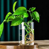 Vase en verre moderne nordique et minimaliste à fleurs transparentes, décoration de maison géométrique en cristal de haute qualité, Vase de table froid pour décoration de mariage