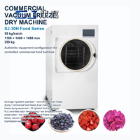 Máquina Liofilizadora Comercial SJ-30H de 35 kg para Café, Liofilizador al Vacío para Café Instantáneo e Ingredientes de Bebidas