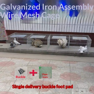 Cages robustes et épaissies pour pigeons, lapins, poulets et cailles, en fil galvanisé, assemblées, pour l'élevage domestique - Product Image 3