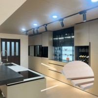 Peuplier Pin Eucalyptus Bouleau LVL Contreplaqué 4*8 Pieds E0 pour Porte Cadre Fenêtre Cadre Maison Meubles En Bois Armoires Espace Capsule