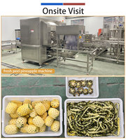 FENGXIANG 3-in-1 Automatische Ananas Schilmachine, Schil, Snijd, Verwijder Top, Staart en Ogen, 1200 stuks/uur voor Maleisische fruitplanten