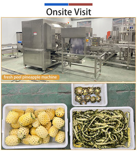 Customized Pineapple <b>Food</b> <b>Line</b> Pineapple Washing Peeling Cutting Drying Packing Machine for Pineapple <b>Process</b> Plant - Product Image 6