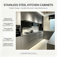 Armoire de cuisine en acier inoxydable HNSJ, finition métallique mate lisse, écologique, OEM/ODM, taille personnalisée, facile à nettoyer, design moderne