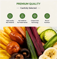 Vente en gros de snacks santé, aliments de loisirs, fruits secs biologiques mélangés et chips de légumes, snacks de fruits surgelés