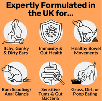 OEM Pet Pre + Probiotics Complément probiotiques à mâcher doux pour le soutien de la santé digestive et le soulagement des démangeaisons pour chiens avec citrouille et probiotiques